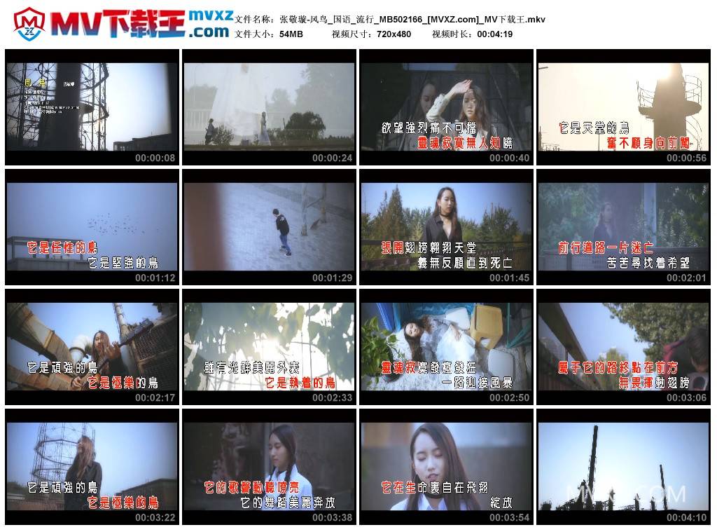 张敬璇-风鸟_国语_流行_MB502166